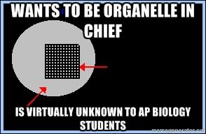 OGCELLWALL's tweet photo. SUBTWEET TO THE PEROXISOME #AHSOIC15 http://t.co/gikPeXc9gQ