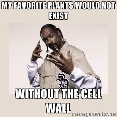 OGCELLWALL's tweet photo. TRUST SNOOP, HE KNOWS A LOT ABOUT PLANTS #AHSOIC15 http://t.co/rqQZQYEuT5