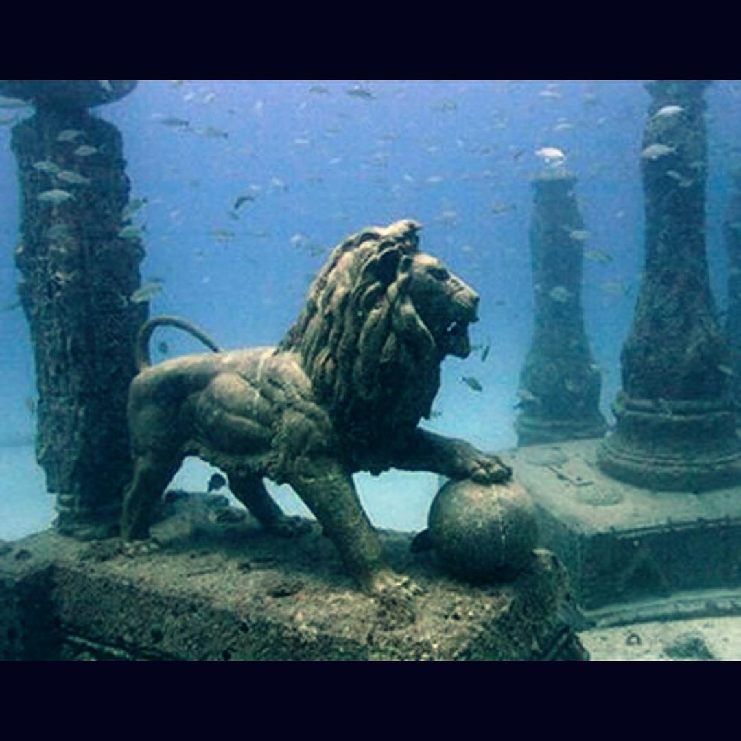 PineTahp's tweet image. Drown your pride #LordWave🌊