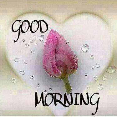 705Sofiya's tweet photo. @madam_robena hi gm miss u so much madam http://t.co/0ChpOalvOR