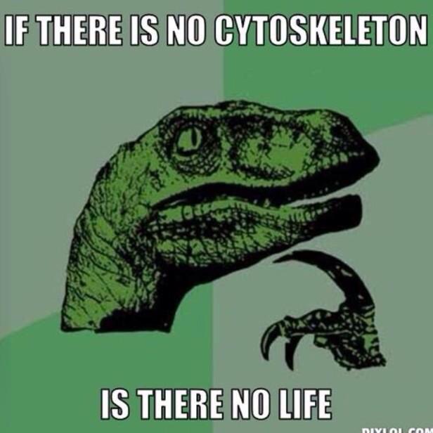 cytoskeletonOIC's tweet photo. Something to think about during this election. #AHSOIC15 http://t.co/kj1ICYYdBo