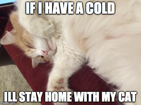 mvanvee's tweet photo. @KQEDedspace I like to stay home when I'm sick to save others. If I went out, I'd wear a mask. #smed7 #donowsneeze http://t.co/9z9c5OnHL8