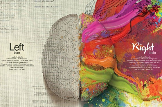 tubularinsights's tweet image. Working the Vertical: The Role of Logic and Emotion in Video Marketing rseo.co/1Cm0Ieu