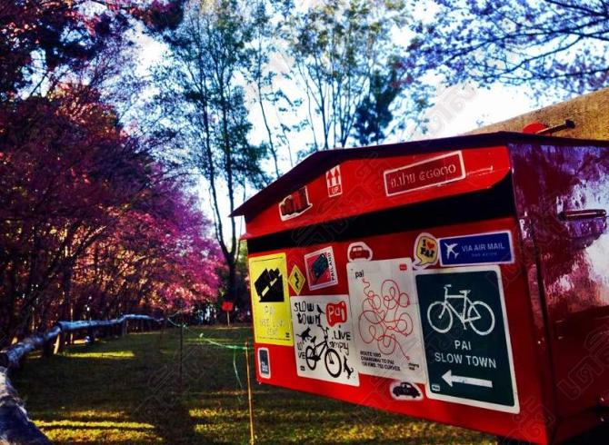 KinoKinokoWorld's tweet photo. 'พญาเสือโคร่ง' เมืองไทย สวยมา���กกกกก
ภาพเดลินิวส์ #อยากไป #ReviewThailand http://t.co/tfxMeZi9KJ