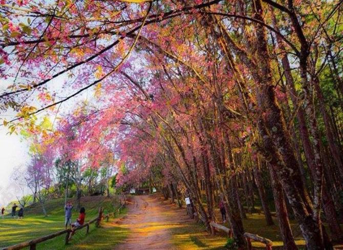 KinoKinokoWorld's tweet photo. 'พญาเสือโคร่ง' เมืองไทย สวยมา���กกกกก
ภาพเดลินิวส์ #อยากไป #ReviewThailand http://t.co/tfxMeZi9KJ