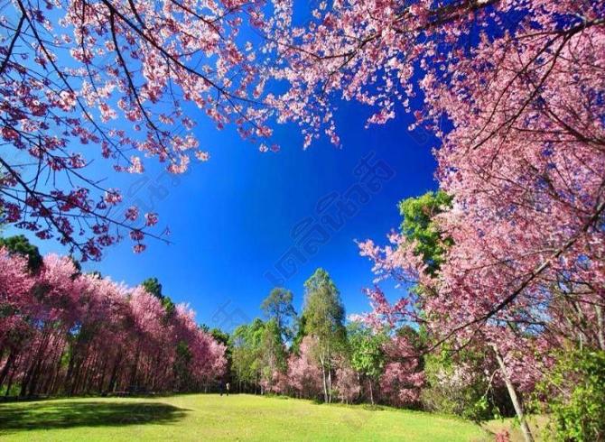 KinoKinokoWorld's tweet photo. 'พญาเสือโคร่ง' เมืองไทย สวยมา���กกกกก
ภาพเดลินิวส์ #อยากไป #ReviewThailand http://t.co/tfxMeZi9KJ