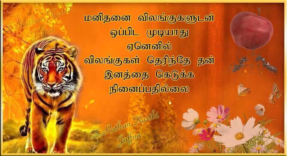 S.rathan Jaffna (@jaffnas) on Twitter photo 
