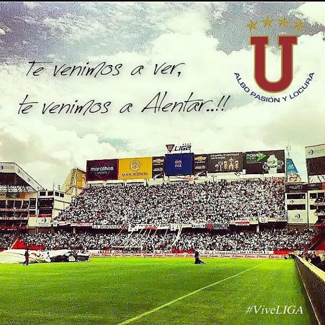 LeinerFlores tweet media