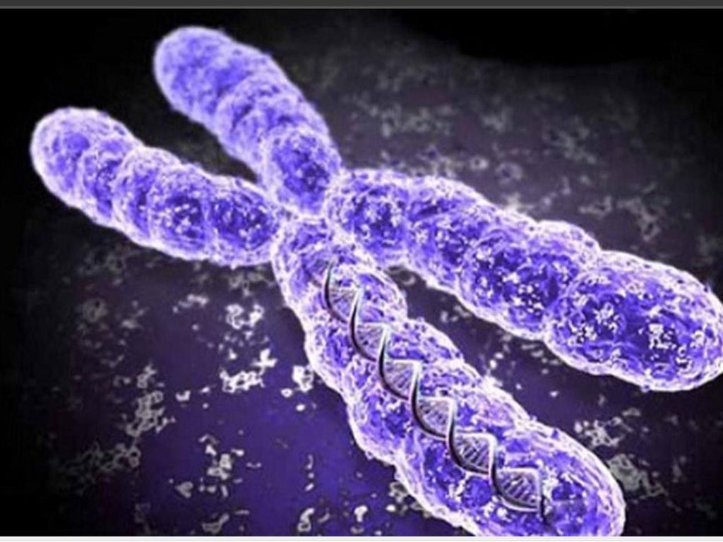 unucleus's tweet photo. With 2 meters of DNA in every cell, the nucleus is what makes you unique! #AHSOIC15 http://t.co/FX7MsIjPXd
