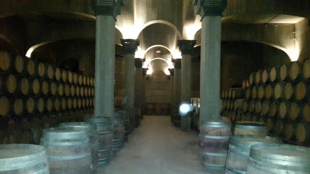 cm_aldaz's tweet photo. Visita a las bodegas Viña Ijalba Logroño Muchas gracias #culturaldaz #travel&amp;learn http://t.co/F4tmsn5A8J
