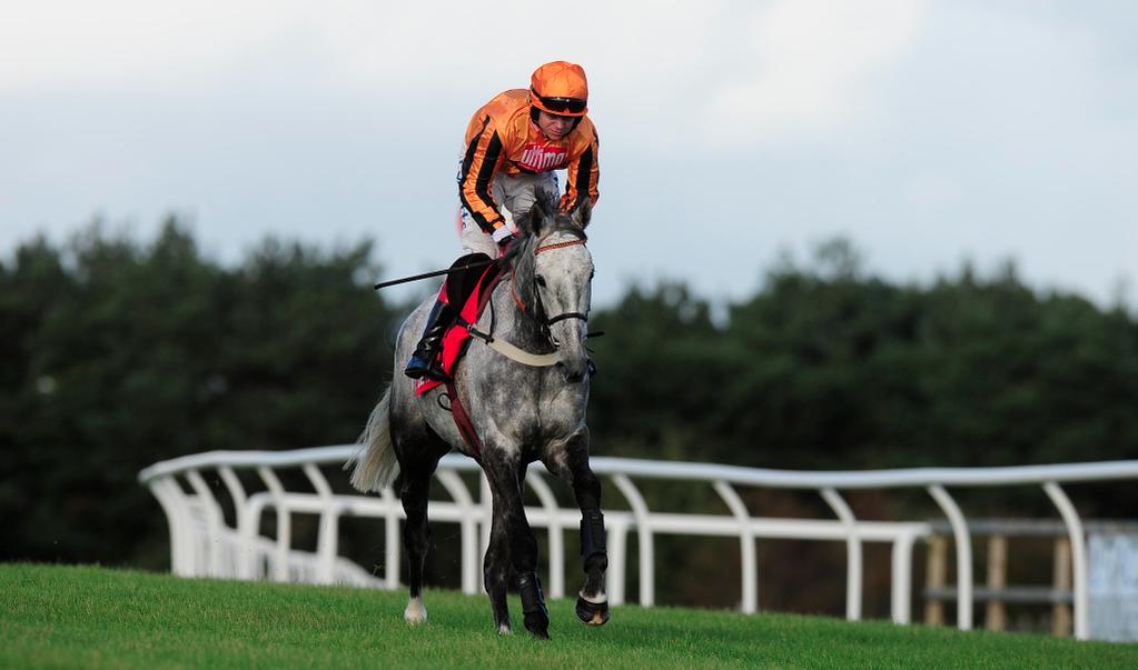 rdcstaking's tweet image. Medermit has been retired - grand old servant to connections - deserved a #Cheltenham festival victory