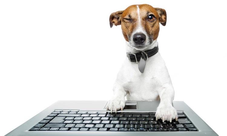 rubenalonsoes's tweet image. ¿Cuál es el mejor #hosting español en 2015? - miposicionamientoweb.es/cual-es-el-mej… #hostingespañol