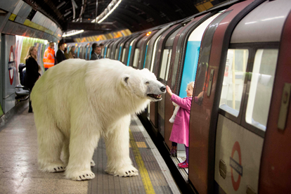 AutomationRobot's tweet image. We know it's yesterday's news, but we can't get enough of this polar bear bit.ly/1yvLDRB