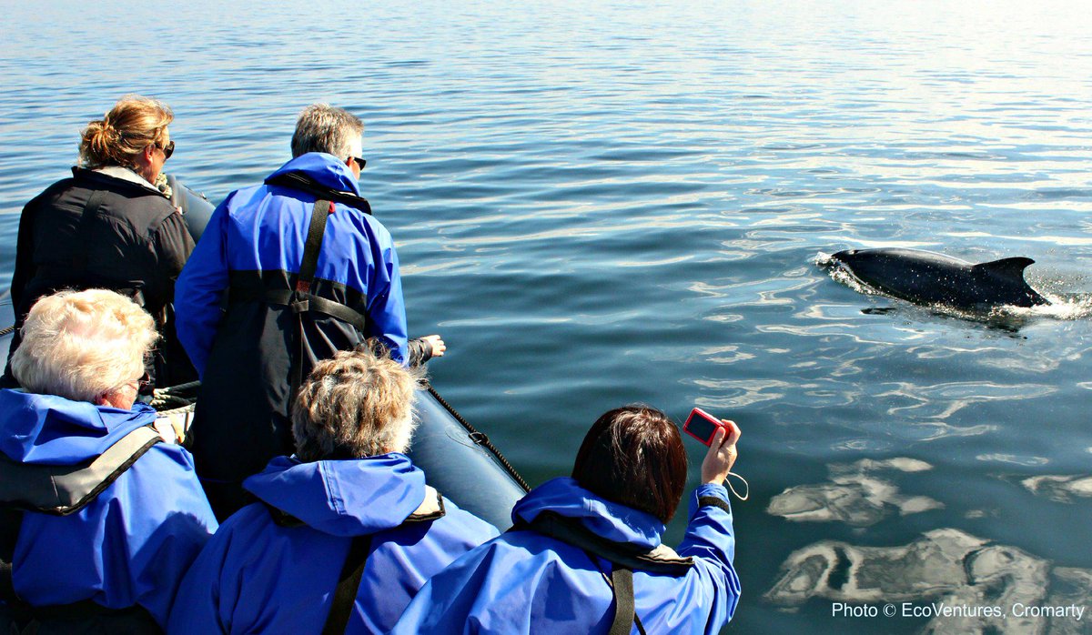 <a href="/Steelcitylove7/">LittleMissPittsburgh 🇺🇦🇨🇦</a> <a href="/allaboutness/">Everything Inverness</a> <a href="/VisitScotland/">VisitScotland</a> How about a waterbourne wildlife adventure!? ecoventures.co.uk