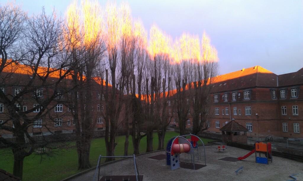 dmidk's tweet photo. #Solnedgang i #Valby den 27. januar 2015. #Lavsol #horisonten #ild #trætoppe #træer #synsbedrag http://t.co/0At493B1nk