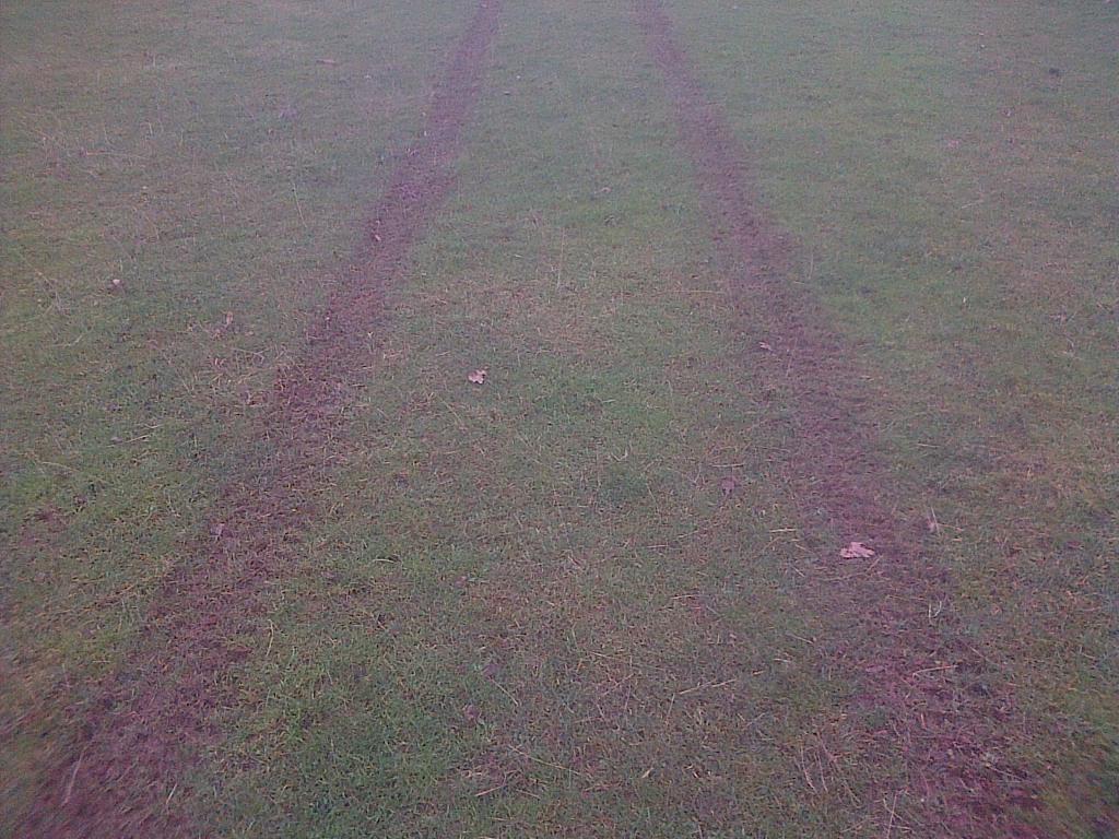 Badger sett dug near Ruthin. Enquiries are on going by the team.