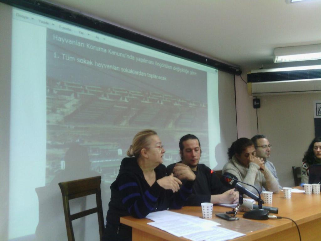 kuzeyormanlari's tweet photo. .@MucellaYapici Mera ve SİT alanlarına yapılan Kısırkaya projesi kimseye sorulmadı.Bir ikiyüzlülükle karşı karşıyayız http://t.co/0sc55vDyXe