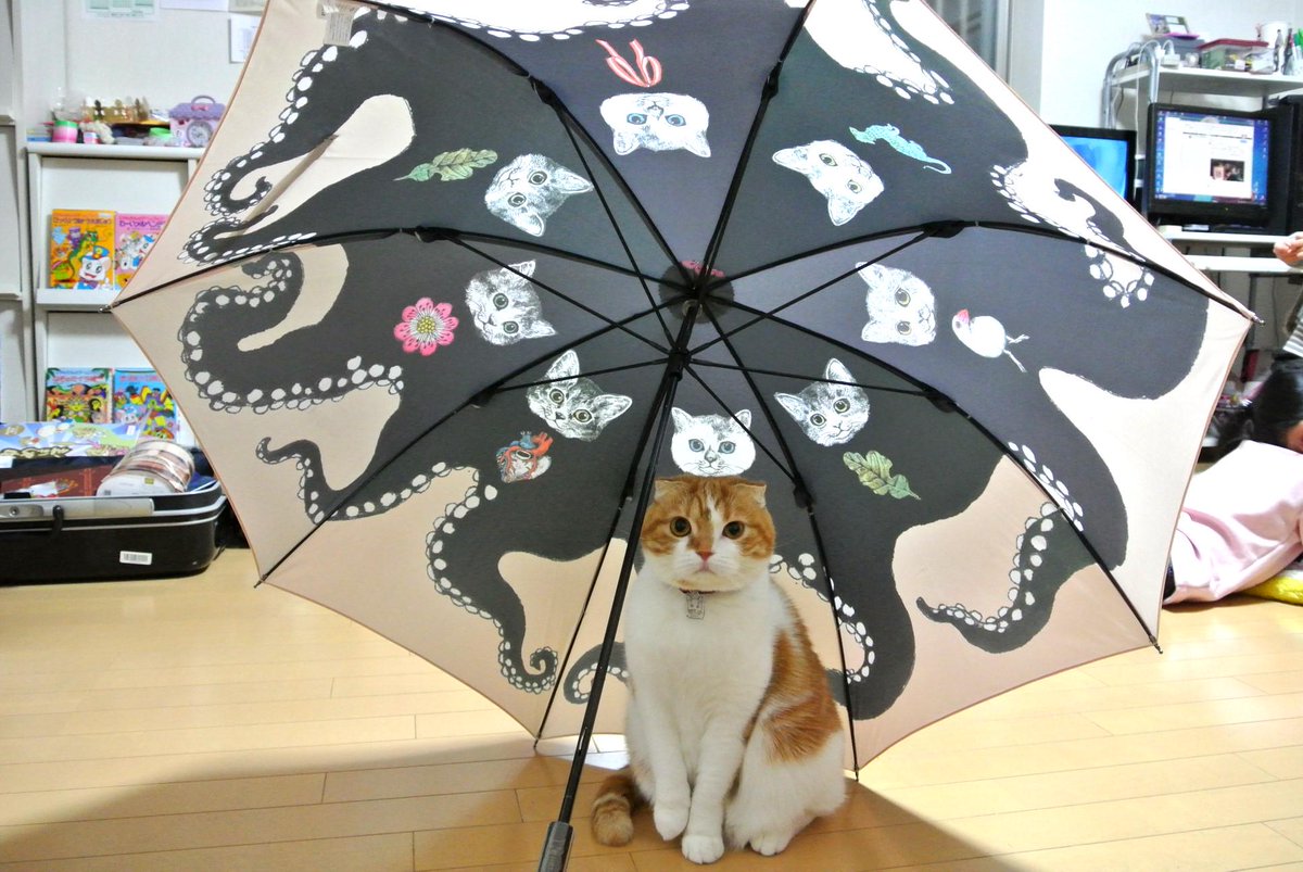 ヒグチユウコ 雨傘 雷様 本物の通販 レディース | emmanuelfalna.com