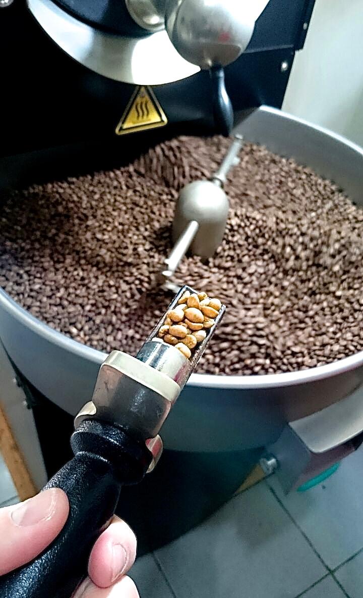 OmarNiode's tweet photo. Kopi Pinogu Tasting - #Gorontalo NEW POST http://t.co/tBfPHWZiUN Are we riding the third wave of coffee ? http://t.co/gleJDqGua3