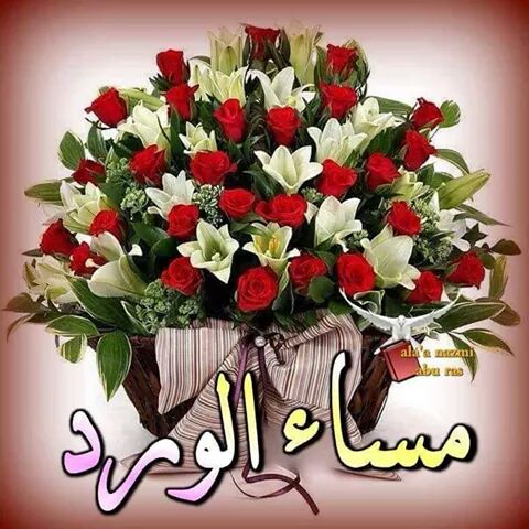 مساء الورد والياسمين