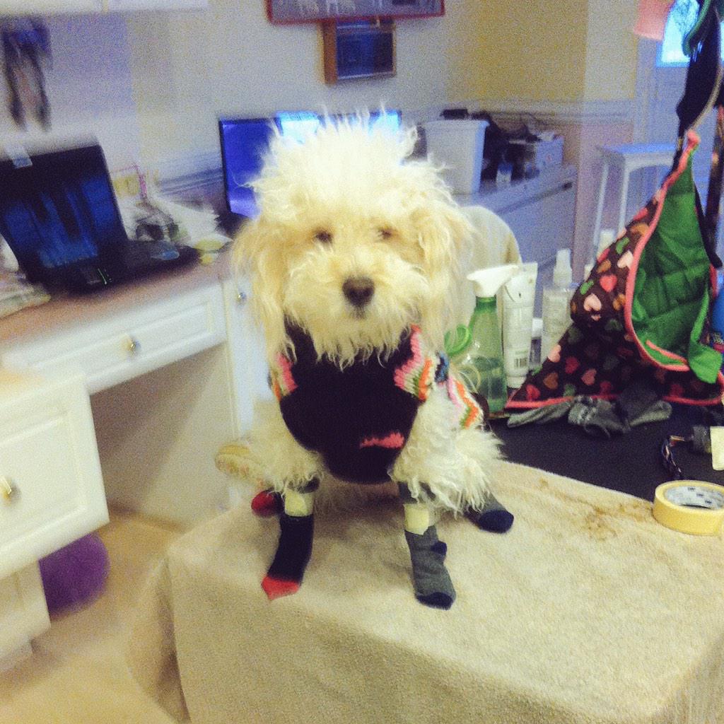 RileyAvil's tweet photo. It looks like they r trying to torture me, but I think they r just trying to keep me warm #maskingtape #winterbooties http://t.co/0X7UVL1gK7