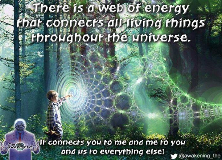 timelesssoul1's tweet photo. "@awakening_the: Web of energy! http://t.co/UkzVV0VzxO" Yes ♡
