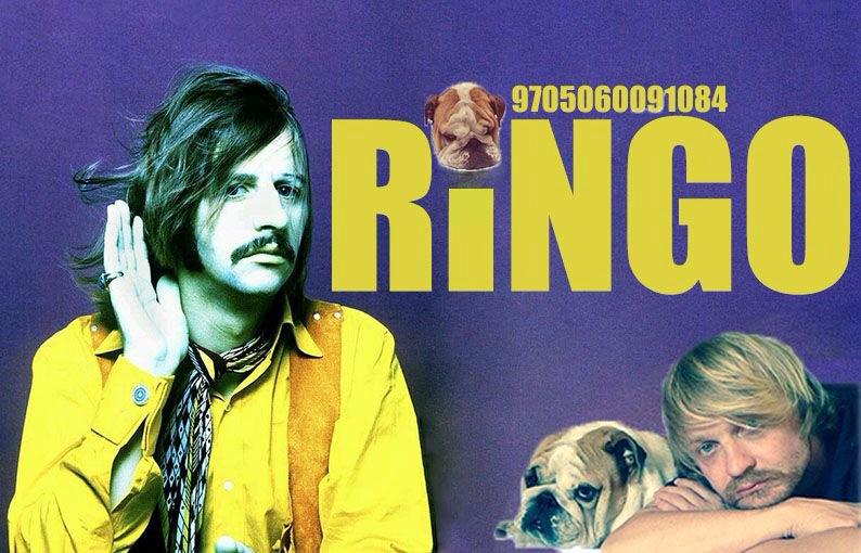 My gr8 sot se naam bordjie. #ringo <a href="/FrancoisVanCoke/">Francois van Coke</a>