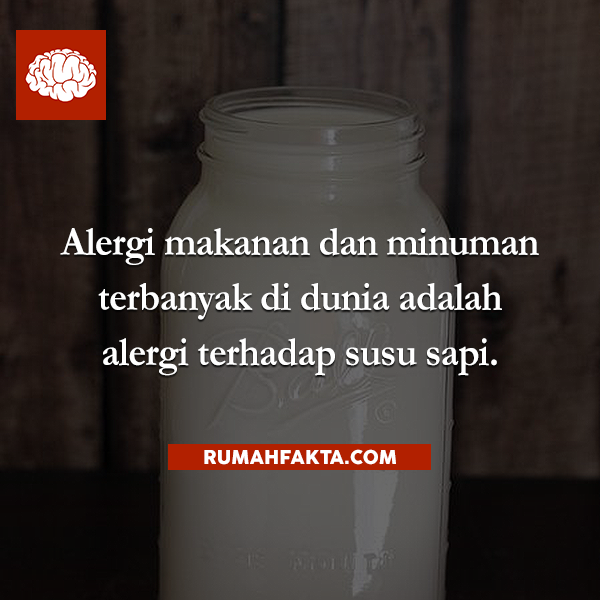 rumahfakta's tweet photo. Alergi makanan dan minuman terbanyak di dunia adalah alergi terhadap susu sapi. http://t.co/xIKXD4oPSz