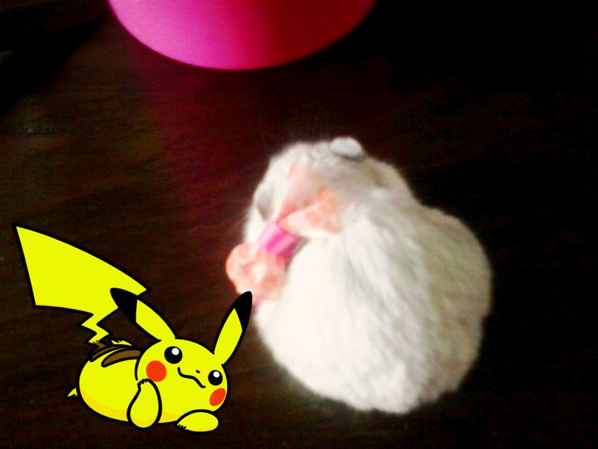bounceballFTW's tweet photo. Aw so cute!! :P http://t.co/ZIRteuki8a