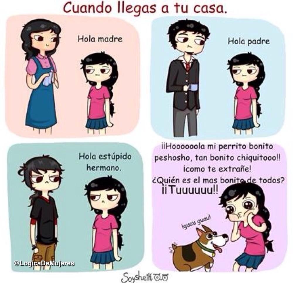 veronicaroth1's tweet photo. @MPiliCG  cuando llega a casa😝 http://t.co/6KzqSu3nz6