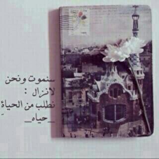 . آلسعآدھٓہ هي آن تستغفر ربگگ     
بالدنيا ليرحمگ بالآخرھٓہ ..♡~