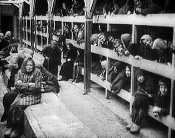 vittoriozucconi's tweet photo. Restano poche migliaia di sopravvissuti alla Shoa. Tra poco tempo, sarà ancora più facile per i negazionisti, negare. http://t.co/BDrW3Bo7CF