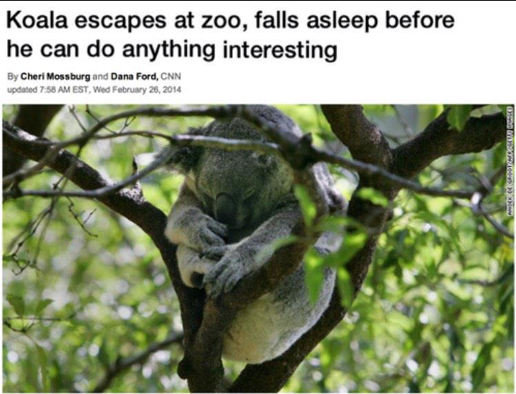 Emily_Frame's tweet photo. Me when I finally leave campus for the day- http://t.co/CRofptYADE