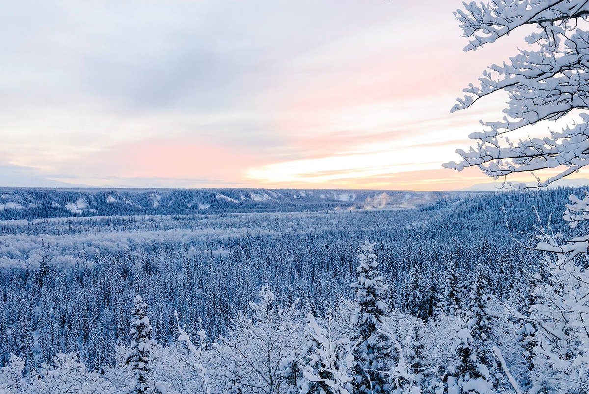 Interior's tweet photo. Brrrr! It was -26 degrees @WrangellStENPS but this #winter sunrise was worth it #Alaska http://t.co/Vm7xeUmVDl