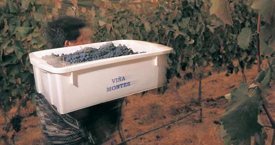 purowine's tweet photo. Tomorrow, you're all invited to join us for a #free @MontesWines tasting from 6pm to 8pm at #PuroWineNYC! @DrinkChile http://t.co/lS9T60kNcL