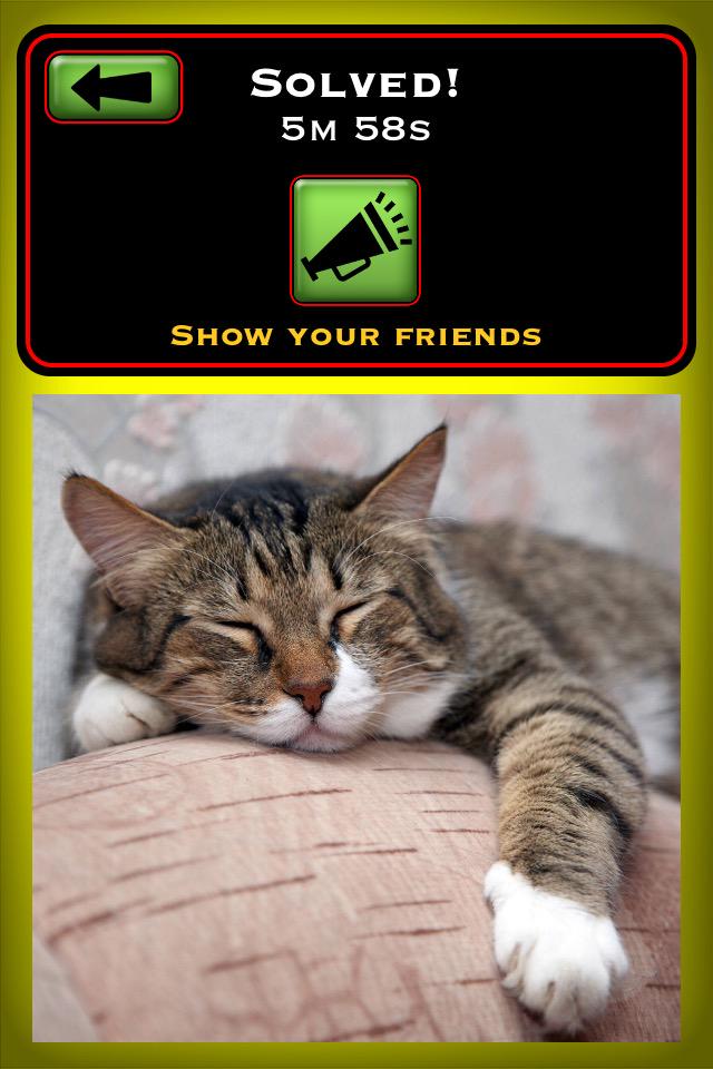 httpdotcom13's tweet image. Puzzle Mania #AppStore