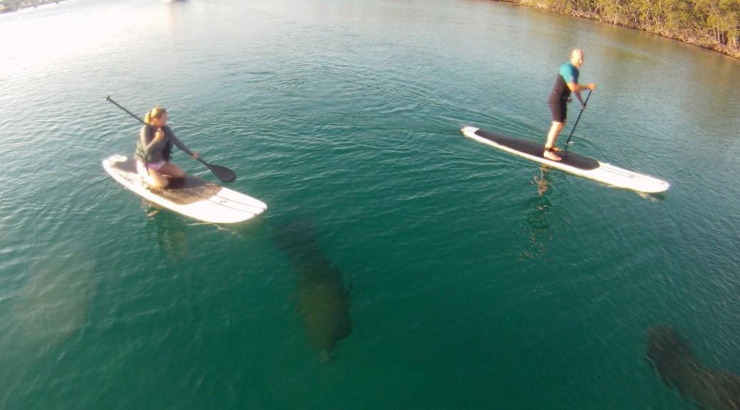 WHAT’S UNDER YOUR BOARD? - vermontsup.com/whats-under-yo… #SUP <a href="/supconnect/">SUPCONNECT</a> <a href="/supmadness/">SUP Madness</a> <a href="/CapeTownSUP/">Cape Town Life</a> #Suplife