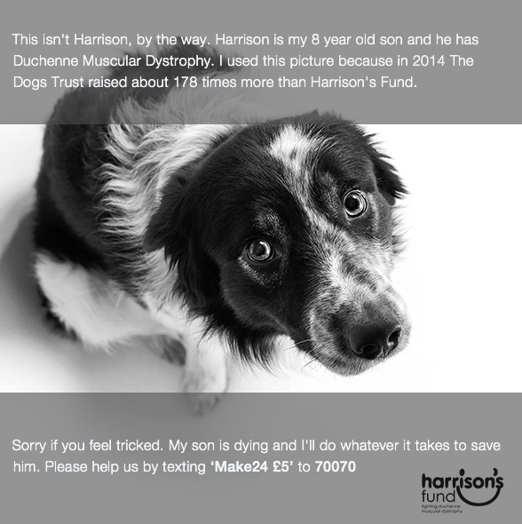 HarrisonsFund's tweet photo. Click this picture to find out how easy it is to help save Harrison from a slow and painful death #MakeTime http://t.co/CJ5ii21Wb2
