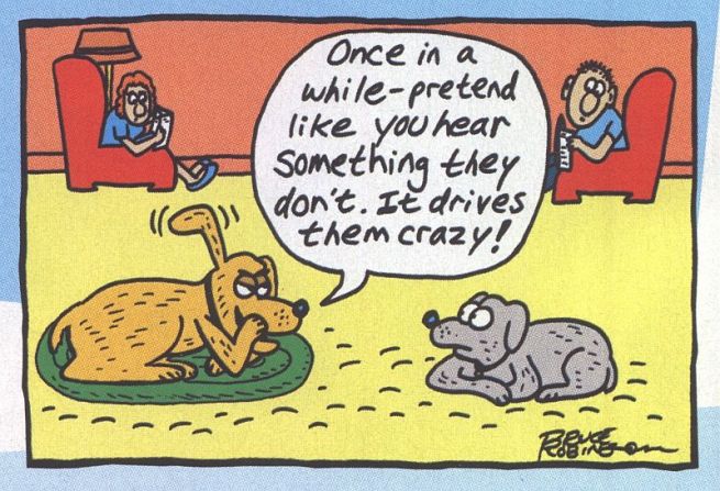 Ah! So this is why dogs seem to perk up for no reason!