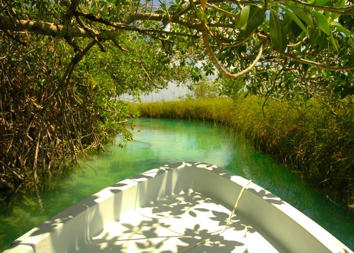 TheBeachTulum's tweet photo. Aski us for our personalized tours! 
#Tulumactivities #Tulumcenotes #Tulumbiosphere #Boutiquehotel #TUlummexico http://t.co/qW7NsihNn9