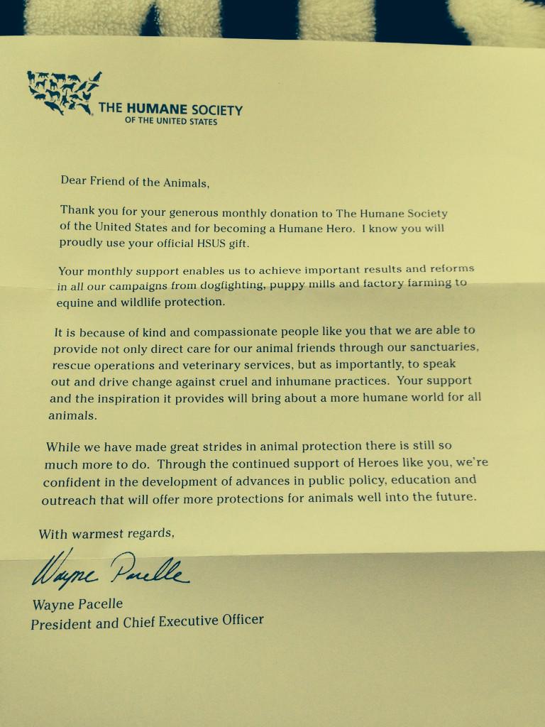 recoveryspirit's tweet photo. awww so cute, The Humane Society just sent me a letter and a tshirt. #friendoftheanimals 💚 http://t.co/YHTWfg2OwB