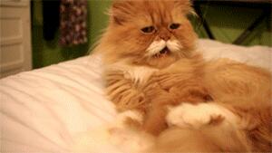 savadoestweeter's tweet photo. When you have to kill the bug yourself D:
#dadhelpme http://t.co/r0NscfcOBg