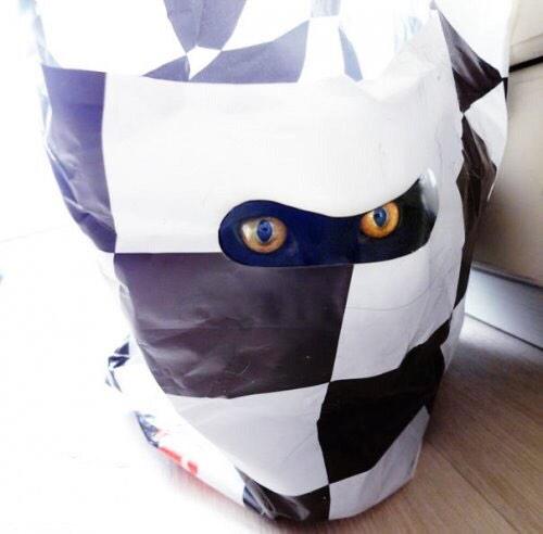 kristinem5's tweet photo. Tweet incognito http://t.co/Xu81hePhut