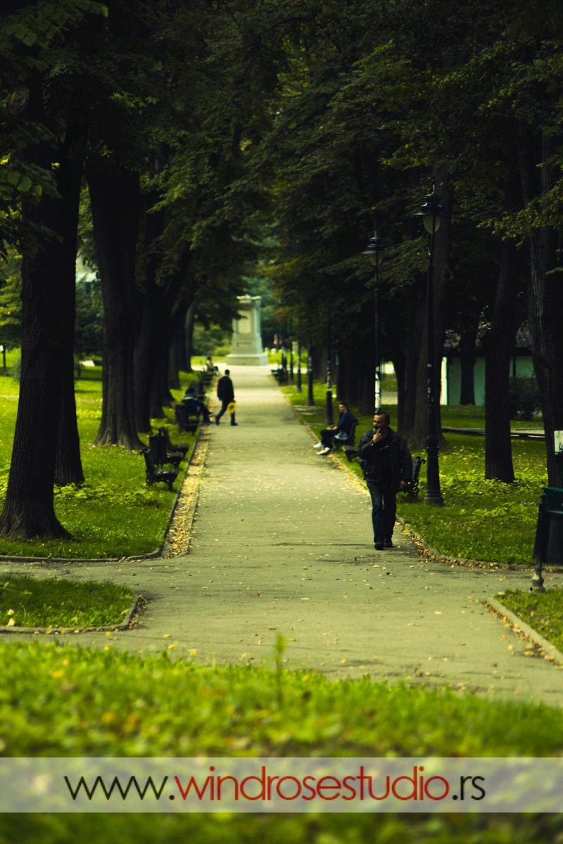 windrosestudio.rs

Šetnja