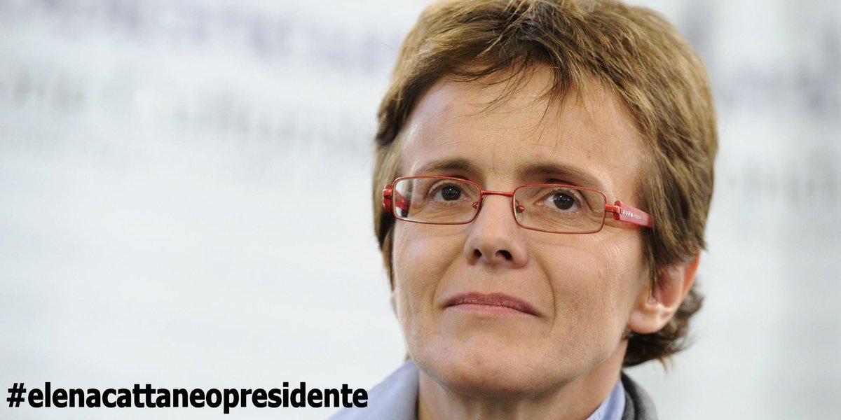 Elena4President's tweet photo. #elenacattaneopresidente #presidentedellarepubblica #change #riscatto #giovani #scegliamonoi http://t.co/5R9tiVYqiw