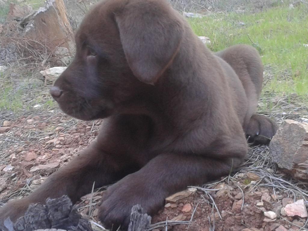 Porque mas chulo no se puede ser jaha my bobby :-D