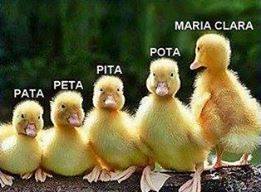 FaloMesmo e vai VSF (@falomesmo666) on Twitter photo 