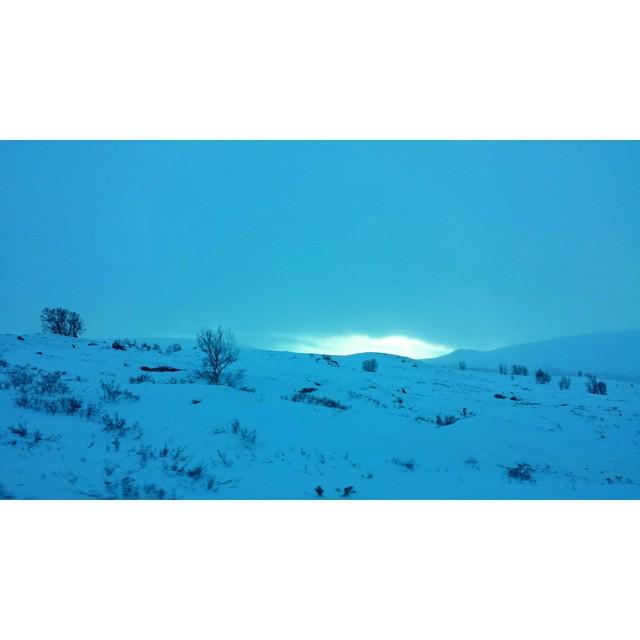 NorwayInstagram's tweet image. #dovre #dovrefjell #visitnorway #pent #finvær #biltur #jobb by sensorinna
