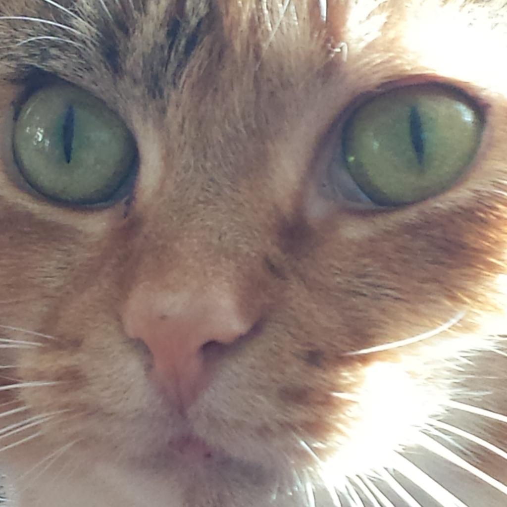 micrababe's tweet image. 