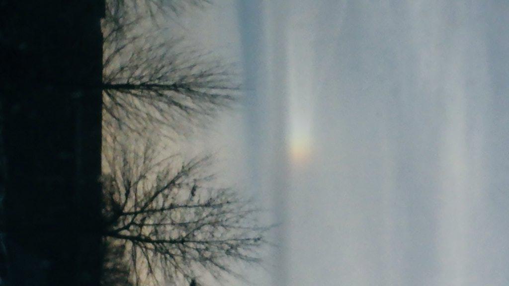 Jennifer Steurer tweet media